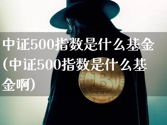 中证500指数是什么基金(中证500指数是什么基金啊)_https://www.qgjzrcxxzxpt.com_中金所_第1张