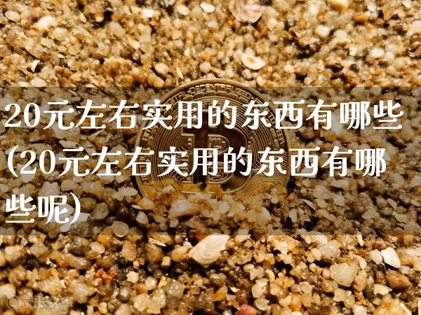 20元左右实用的东西有哪些(20元左右实用的东西有哪些呢)_https://www.qgjzrcxxzxpt.com_上期能源_第1张