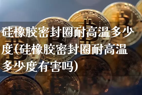 硅橡胶密封圈耐高温多少度(硅橡胶密封圈耐高温多少度有害吗)_https://www.qgjzrcxxzxpt.com_广期所_第1张