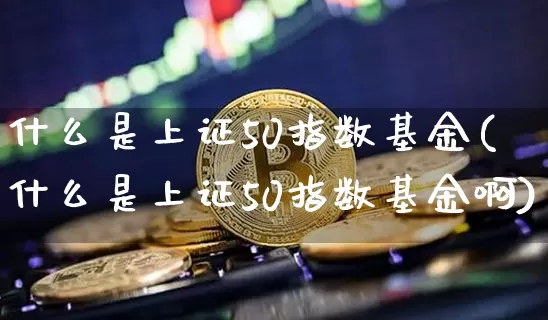 什么是上证50指数基金(什么是上证50指数基金啊)_https://www.qgjzrcxxzxpt.com_大商所_第1张