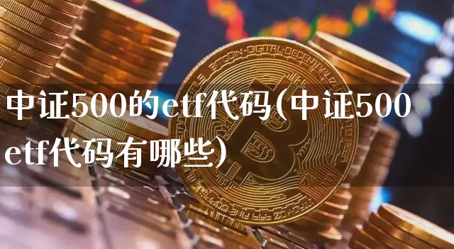 中证500的etf代码(中证500etf代码有哪些)_https://www.qgjzrcxxzxpt.com_郑商所_第1张