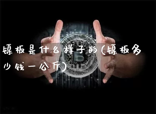 镍板是什么样子的(镍板多少钱一公斤)_https://www.qgjzrcxxzxpt.com_大商所_第1张