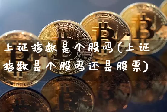 上证指数是个股吗(上证指数是个股吗还是股票)_https://www.qgjzrcxxzxpt.com_广期所_第1张