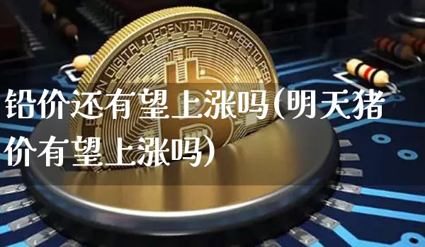 铅价还有望上涨吗(明天猪价有望上涨吗)_https://www.qgjzrcxxzxpt.com_郑商所_第1张