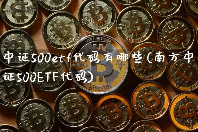 中证500etf代码有哪些(南方中证500ETF代码)_https://www.qgjzrcxxzxpt.com_大商所_第1张