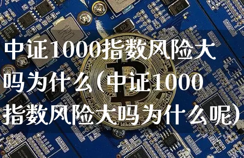 中证1000指数风险大吗为什么(中证1000指数风险大吗为什么呢)_https://www.qgjzrcxxzxpt.com_大商所_第1张