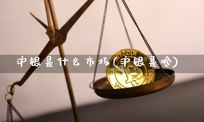 沪银是什么市场(沪银是啥)_郑商所_第1张_财经网 沪银是什么市场(沪银是啥)_https://www.qgjzrcxxzxpt.com_郑商所_第1张