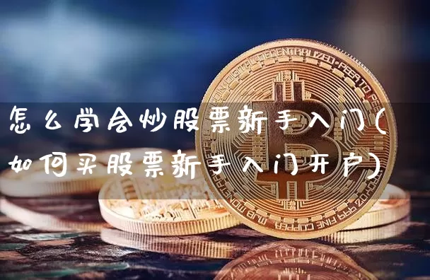 怎么学会炒股票新手入门(如何买股票新手入门开户)_https://www.qgjzrcxxzxpt.com_上期能源_第1张