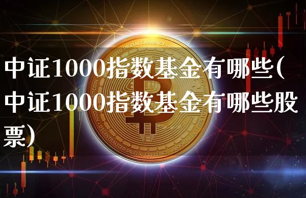 中证1000指数基金有哪些(中证1000指数基金有哪些股票)_https://www.qgjzrcxxzxpt.com_大商所_第1张