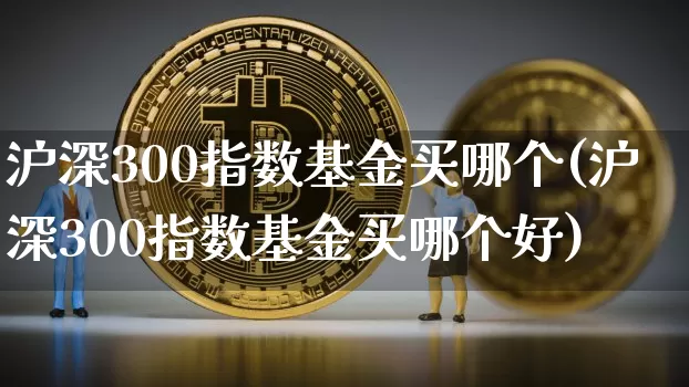 沪深300指数基金买哪个(沪深300指数基金买哪个好)_https://www.qgjzrcxxzxpt.com_郑商所_第1张