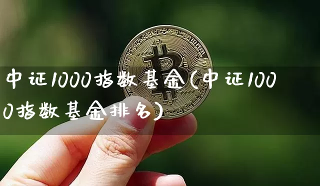 中证1000指数基金(中证1000指数基金排名)_https://www.qgjzrcxxzxpt.com_广期所_第1张