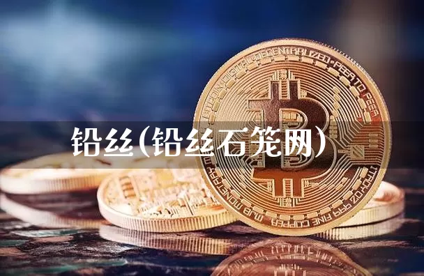 铅丝(铅丝石笼网)_https://www.qgjzrcxxzxpt.com_上期所_第1张