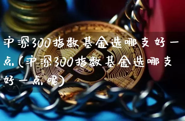 沪深300指数基金选哪支好一点(沪深300指数基金选哪支好一点呢)_https://www.qgjzrcxxzxpt.com_上期所_第1张