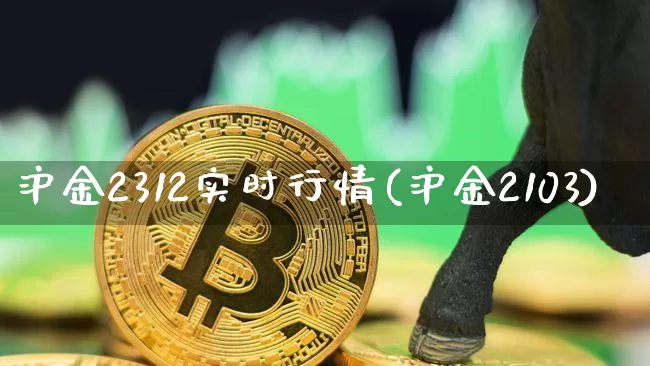 沪金2312实时行情(沪金2103)_https://www.qgjzrcxxzxpt.com_上期所_第1张