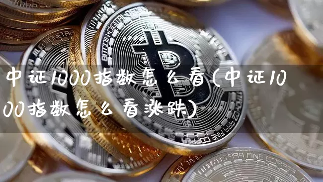 中证1000指数怎么看(中证1000指数怎么看涨跌)_https://www.qgjzrcxxzxpt.com_上期能源_第1张