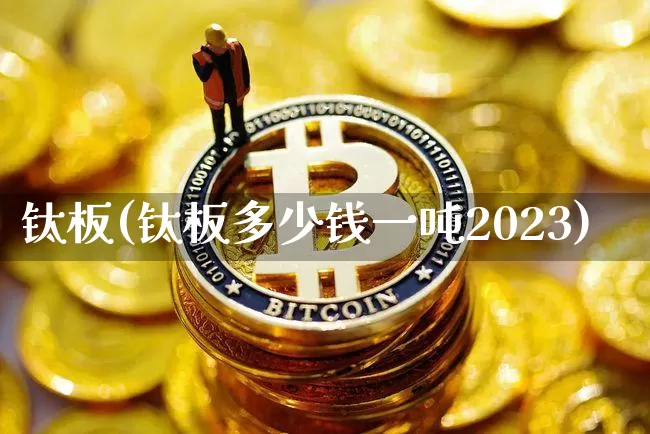 钛板(钛板多少钱一吨2023)_https://www.qgjzrcxxzxpt.com_广期所_第1张