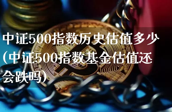 中证500指数历史估值多少(中证500指数基金估值还会跌吗)_https://www.qgjzrcxxzxpt.com_大商所_第1张