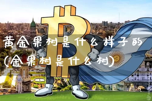 黄金果树是什么样子的(金果树是什么树)_https://www.qgjzrcxxzxpt.com_上期能源_第1张