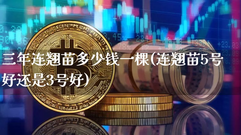 三年连翘苗多少钱一棵(连翘苗5号好还是3号好)_https://www.qgjzrcxxzxpt.com_大商所_第1张