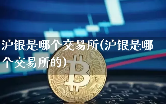 沪银是哪个交易所(沪银是哪个交易所的)_https://www.qgjzrcxxzxpt.com_上期所_第1张