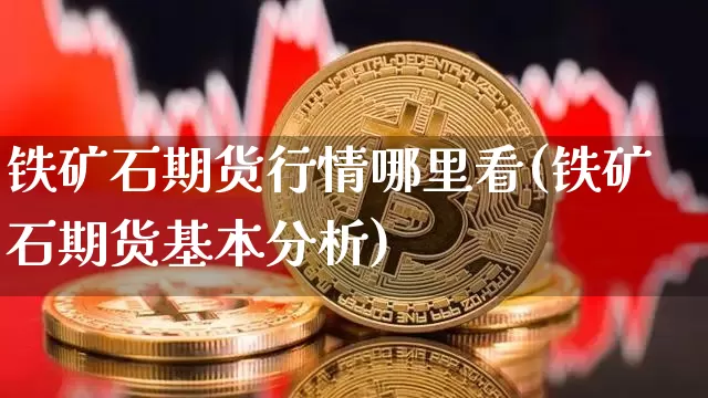 铁矿石期货行情哪里看(铁矿石期货基本分析)_https://www.qgjzrcxxzxpt.com_中金所_第1张