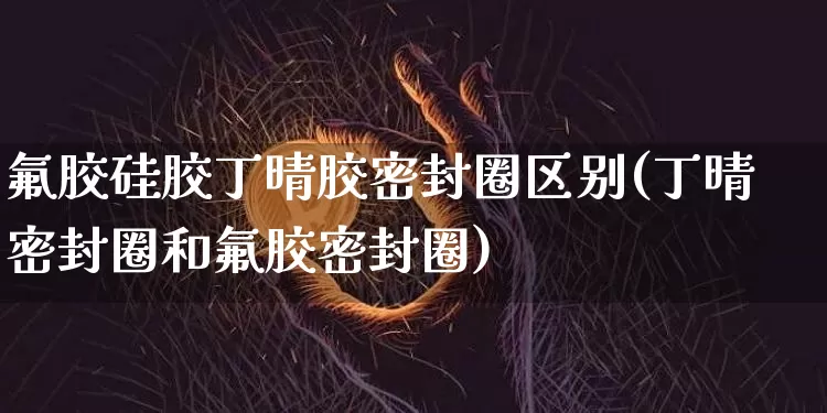 氟胶硅胶丁晴胶密封圈区别(丁晴密封圈和氟胶密封圈)_https://www.qgjzrcxxzxpt.com_郑商所_第1张