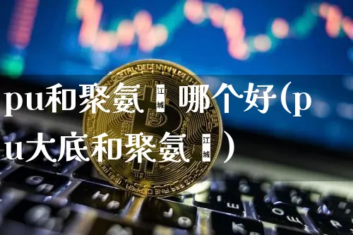 pu和聚氨酯哪个好(pu大底和聚氨酯)_https://www.qgjzrcxxzxpt.com_上期能源_第1张