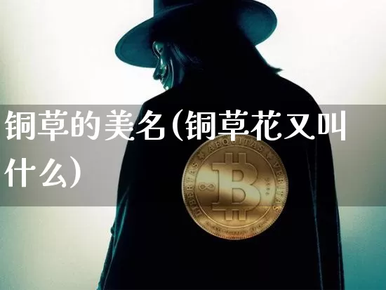 铜草的美名(铜草花又叫什么)_https://www.qgjzrcxxzxpt.com_广期所_第1张