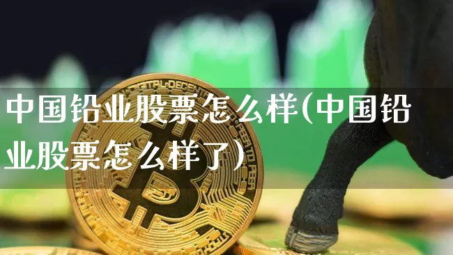 中国铅业股票怎么样(中国铅业股票怎么样了)_https://www.qgjzrcxxzxpt.com_上期所_第1张