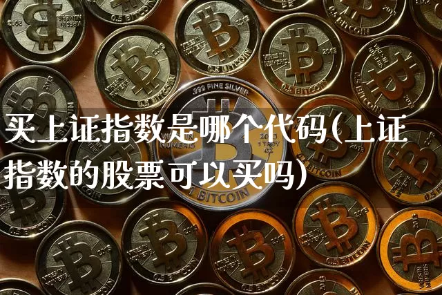买上证指数是哪个代码(上证指数的股票可以买吗)_https://www.qgjzrcxxzxpt.com_上期能源_第1张