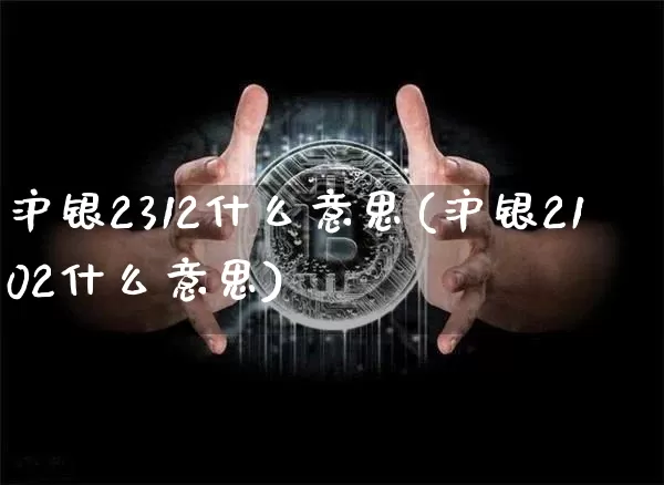 沪银2312什么意思(沪银2102什么意思)_https://www.qgjzrcxxzxpt.com_广期所_第1张