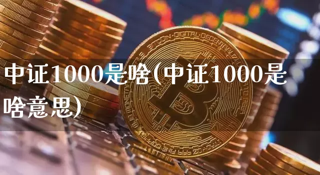 中证1000是啥(中证1000是啥意思)_https://www.qgjzrcxxzxpt.com_中金所_第1张