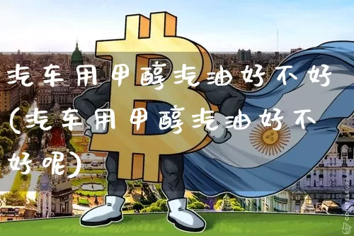 汽车用甲醇汽油好不好(汽车用甲醇汽油好不好呢)_https://www.qgjzrcxxzxpt.com_大商所_第1张