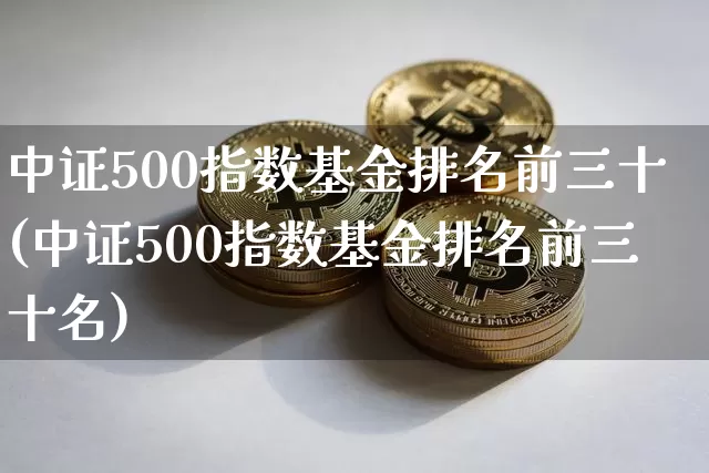 中证500指数基金排名前三十(中证500指数基金排名前三十名)_https://www.qgjzrcxxzxpt.com_大商所_第1张