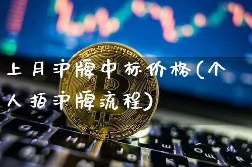 上月沪牌中标价格(个人拍沪牌流程)_https://www.qgjzrcxxzxpt.com_上期能源_第1张