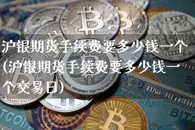沪银期货手续费要多少钱一个(沪银期货手续费要多少钱一个交易日)_https://www.qgjzrcxxzxpt.com_中金所_第1张