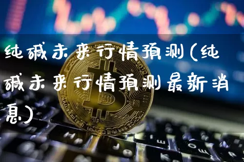 纯碱未来行情预测(纯碱未来行情预测最新消息)_https://www.qgjzrcxxzxpt.com_郑商所_第1张