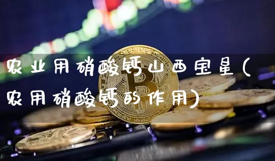 农业用硝酸钙山西宝星(农用硝酸钙的作用)_https://www.qgjzrcxxzxpt.com_郑商所_第1张