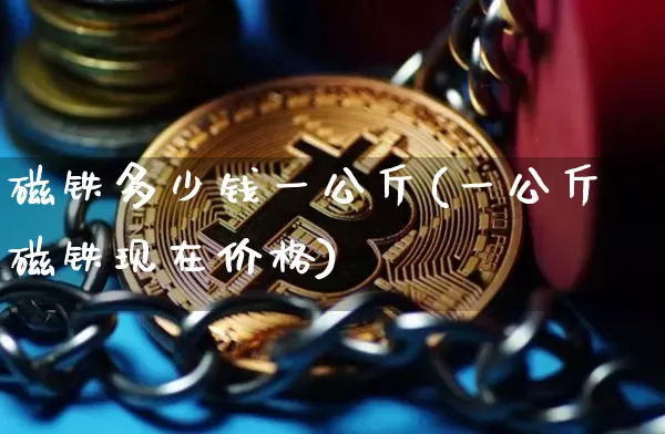磁铁多少钱一公斤(一公斤磁铁现在价格)_https://www.qgjzrcxxzxpt.com_大商所_第1张