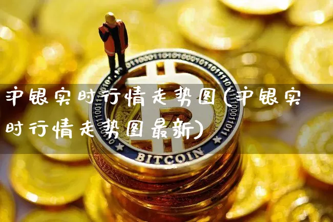 沪银实时行情走势图(沪银实时行情走势图最新)_https://www.qgjzrcxxzxpt.com_中金所_第1张