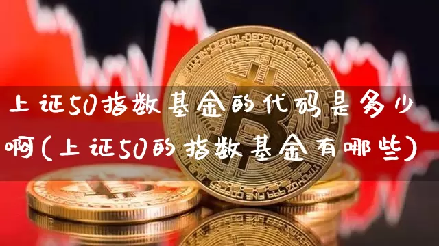 上证50指数基金的代码是多少啊(上证50的指数基金有哪些)_https://www.qgjzrcxxzxpt.com_上期能源_第1张