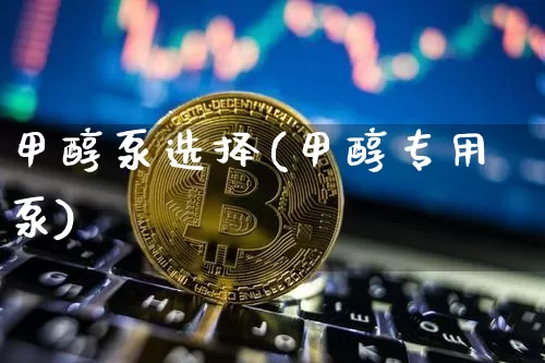 甲醇泵选择(甲醇专用泵)_https://www.qgjzrcxxzxpt.com_广期所_第1张