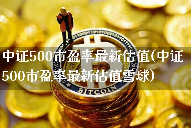 中证500市盈率最新估值(中证500市盈率最新估值雪球)_https://www.qgjzrcxxzxpt.com_大商所_第1张