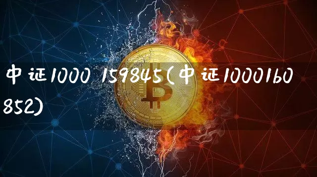 中证1000 159845(中证10001b0852)_https://www.qgjzrcxxzxpt.com_中金所_第1张