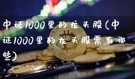 中证1000里的龙头股(中证1000里的龙头股票有哪些)_https://www.qgjzrcxxzxpt.com_中金所_第1张