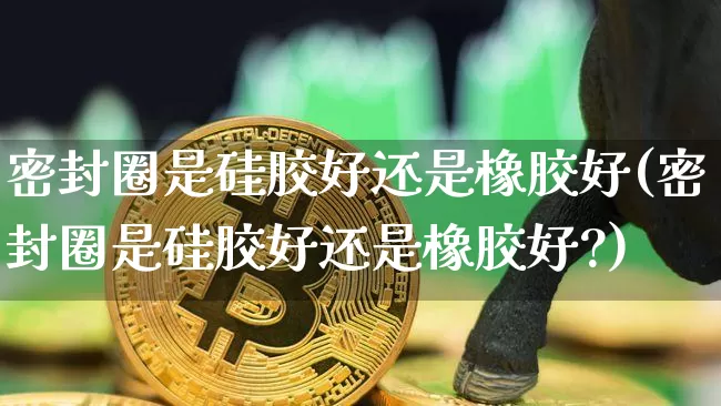 密封圈是硅胶好还是橡胶好(密封圈是硅胶好还是橡胶好?)_https://www.qgjzrcxxzxpt.com_广期所_第1张
