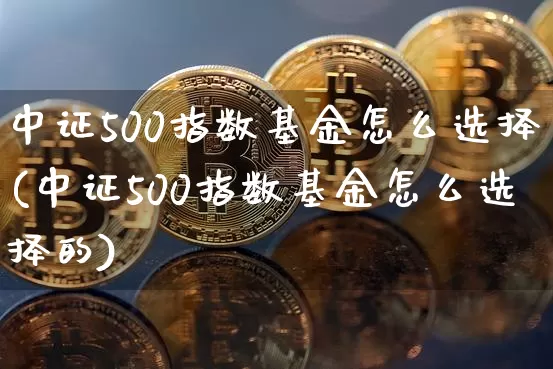 中证500指数基金怎么选择(中证500指数基金怎么选择的)_https://www.qgjzrcxxzxpt.com_中金所_第1张
