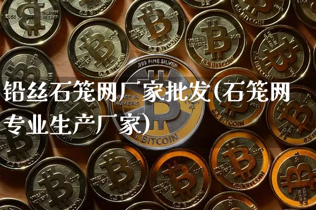 铅丝石笼网厂家批发(石笼网专业生产厂家)_https://www.qgjzrcxxzxpt.com_上期能源_第1张