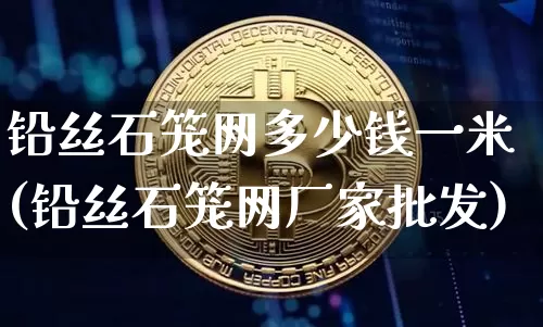 铅丝石笼网多少钱一米(铅丝石笼网厂家批发)_https://www.qgjzrcxxzxpt.com_广期所_第1张