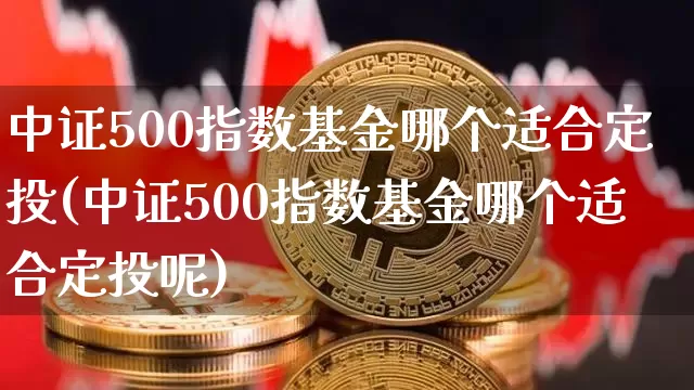 中证500指数基金哪个适合定投(中证500指数基金哪个适合定投呢)_https://www.qgjzrcxxzxpt.com_上期能源_第1张